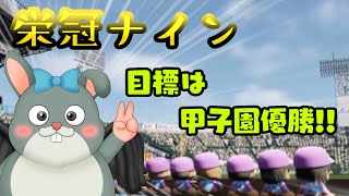 【パワプロ2025】栄冠ナイン♪名前借りて目指せ甲子園優勝～6年目の夏～【初見歓迎/#Vtuber】