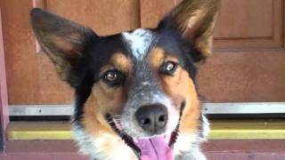 Jumpy Wink
