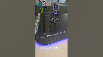 Dynamic1 by Tecno IFA24 #tecno #dynamic1 #robotdog #ifa24 #innovation #ai #quadruped #futuretech