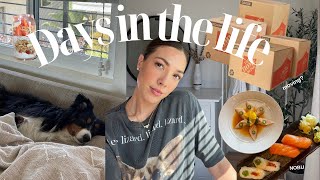 Days in the life: busy days, are we moving? + Ab workout | Ryanne Darr Vlogs