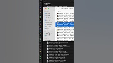 Reveal in Finder/Explorer for After Effects