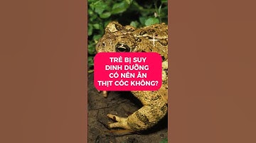 Trẻ Bị Suy Dinh Dưỡng Có Nên Ăn Thịt Cóc Không ?
