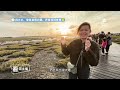看见主播 蓝丽婷 Ms Evelyn Lam 美女新闻人的旅游日记 21 2 2024 Go TAIWAN 看见主播 蓝丽婷 Ms Evelyn Lam 美女新闻人的旅游日记 21 2 2024 Go TAIWAN