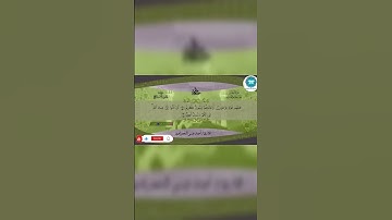 🔊 لحظات من الراحة والسلام | استمع للقرآن يلامس قلبك 💖📖#quran #قرآن #قرآن_كريم #تلاوة_قرآن #explore
