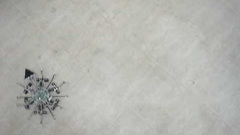 hexapod figure of eight sequence