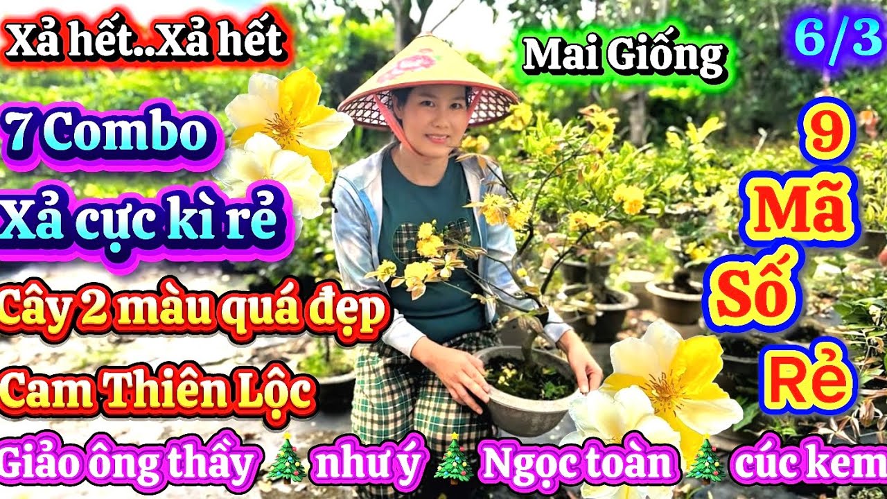 6/3 MAI VÀNG GIÁ RẺ ☎️077 787 2948 Kim Duyên 🎄7 combo giá rẻ🎄Mã số đẹp cuối lup