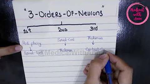 SPINAL CORD TRACTS AND ORDER OF NEURONS made EASY