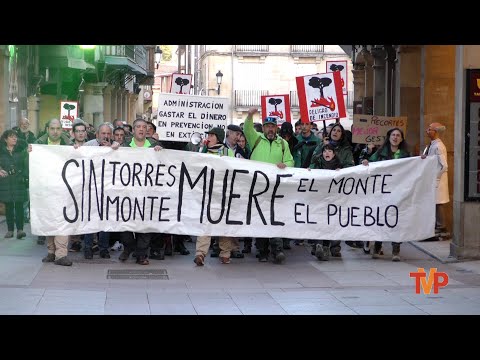 Manifestación contra la eliminación de torretas de vigilancia de incendios - Soria 2025