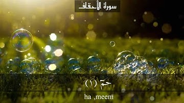 سورة الأحقاف page 502 {القارئ غسان الشوربجي}