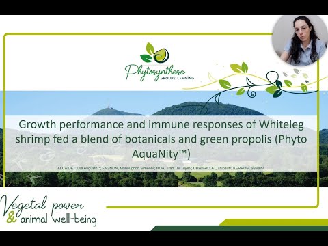 IFC Congress Brazil - PHYTOSYNTHESE