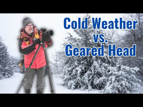 Cold Weather and