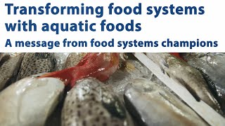 UNFSS: Transforming food systems with aquatic foods: A message from food systems champions