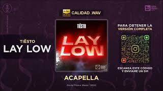 Tiësto - Lay Low ️ ACAPELLA (By David Prince Music)