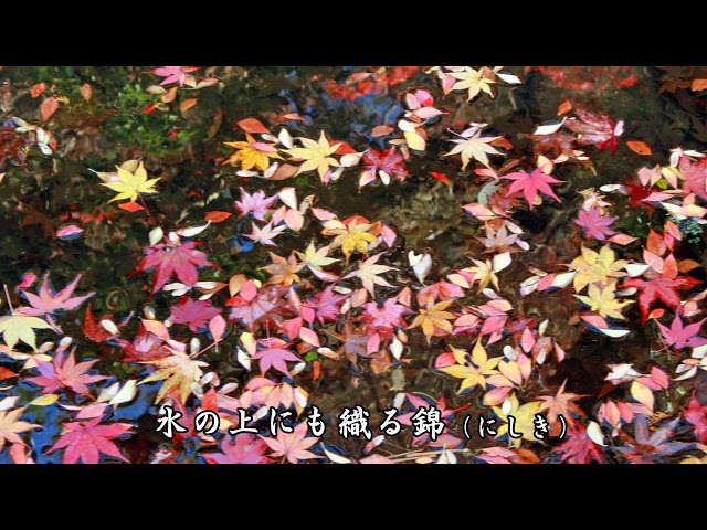 もみじ作詞:高野辰之/作曲:岡野貞一