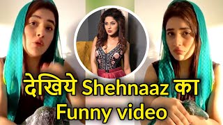 Shehnaaz Gill funny video will make you laugh