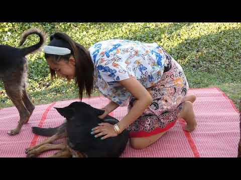 beautiful girl playing with her dog at home, how to training cute puppy #26