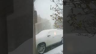 Snowing in Louisiana #shorts #snow #snowfall