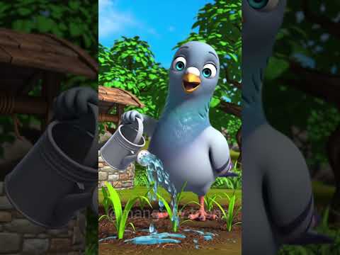 कबूतर और मक्के की खेती #shortstory #trending #virel #ytshorts #pegeon #cartoon