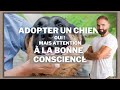 Adopter un chien c