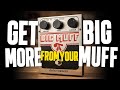 Get More From Your EHX Big Muff Fuzz-Distortion Pedal [Massive Wall Of Noise &amp; More!]
