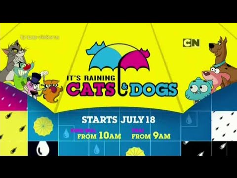 Discover 156+ catdog anime latest - 3tdesign.edu.vn