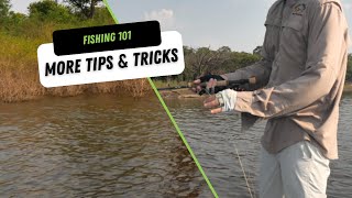 Amazon Peacock Bass Fishing Tips 101 | Acute Angling