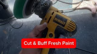 Budget Friendly Cut & Buff on Alexseal Paint by Backyard Boatworks 499 views 1 month ago 5 minutes, 9 seconds