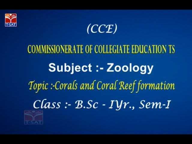 T-SAT || CCE || Zoology - Corals and Coral Reef Formation || LIVE With N.Rajkumar