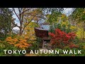 Tokyo Autumn Walk 🍂 Todoroki Ravine &amp; Beautiful Jōshinji Temple