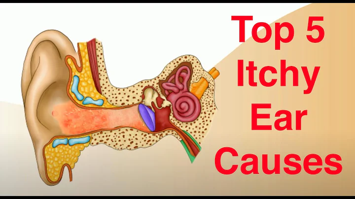 Top 5 Causes of Itchy Ears (and Treatment Too!) - DayDayNews