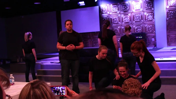 BSC Girls Human Video Fine Arts 2015