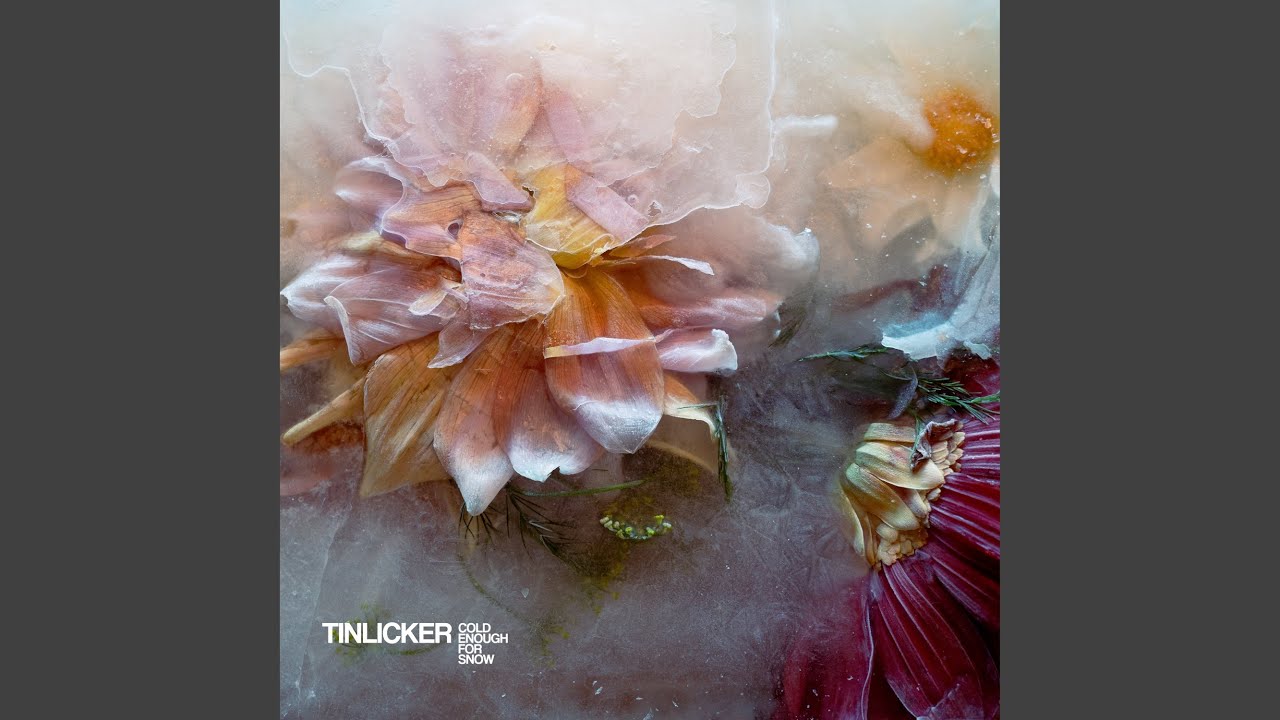 Tinlicker - Nowhere To Go (feat. Brian Molko) akkoorden