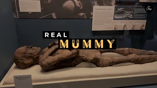 Real Egyptian Mummy | Animal Mummies | Smithsonian National Museum of Natural History -Washington DC
