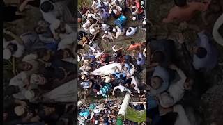 Allama Dilwar Hussain Saidi Best Status