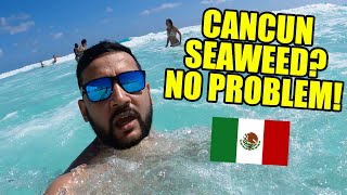 Will the SEAWEED Spoil Your Trip to CANCUN?