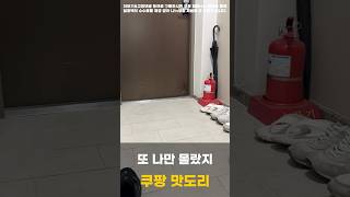 또 나만 몰랐네 쿠팡 떡갈비 리얼 후기 #쿠팡 #꿀팁 #꿀템