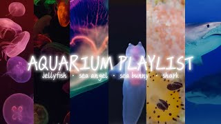 aquarium playlist | comp with all of my sea creatures playlists