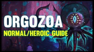 Orgozoa Normal + Heroic Guide - FATBOSS