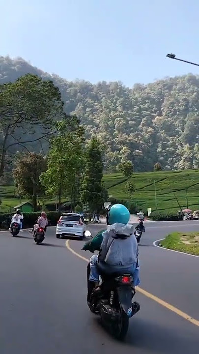 Vlog Ke puncak bogor di pagi hari yang cerah