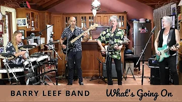 What's Going On (Marvin Gaye) cover by the Barry Leef Band