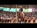 Charro capireo arturo tostado juan angel salinas