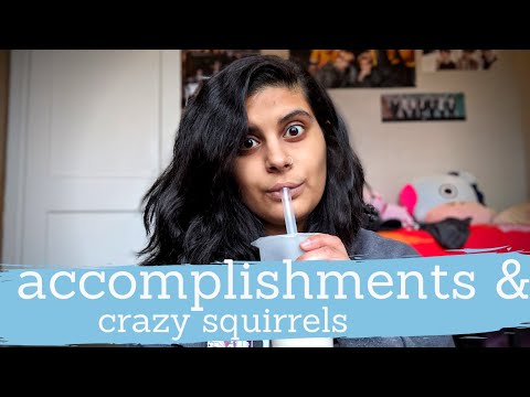 Accomplishments & Crazy Squirrels | February Vlog | Radhika Katti