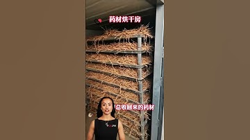 #fcnfm Elevate Your Harvest: Experience the Power of Dehydration Equipment in Action