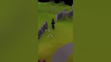WORLD RECORD Fastest run from Lumbridge to Grand Exchange 1 31 33