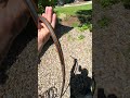 Giraffe Tools Hybrid Garden Hose 6-25FT Custom Length, 5/8” Heavy Duty Water Hose with Aluminum