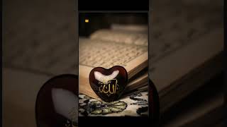 #quran #translation #urdu #tarjuma #tafseer #tafsir #subscribe #bayan #allah #allahuakbar #muslim