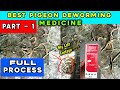 How to deworm pigeons  part1 kabootar ke pet ke kide ka ilaaj  pigeon deworming medicine