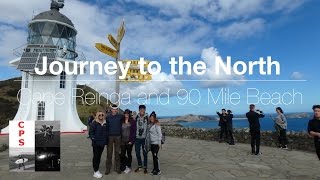 The Journey to the North - Cape Reinga and Ninety Mile Beach