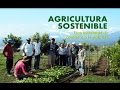 Agricultura sostenible, una estrategia de combate a la pobreza