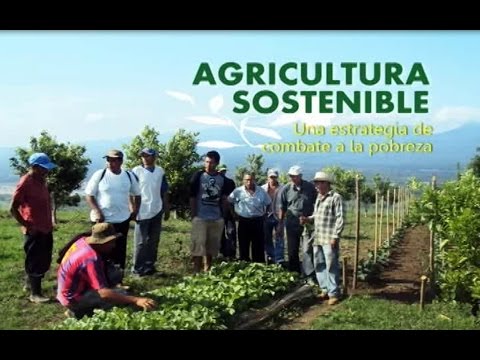 Video: ¿Cuál de los siguientes es un objetivo de la agricultura sostenible?